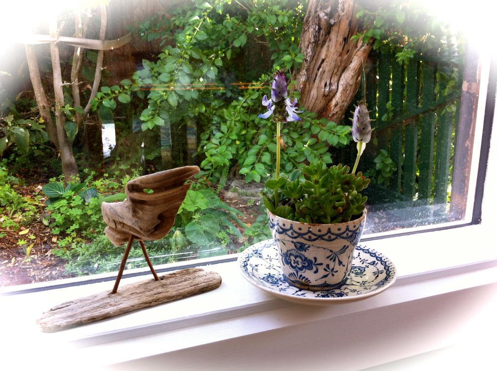ซี ซอลต์ บีเอ็มบี Bed & Breakfast โรสบัด ห้อง รูปภาพ